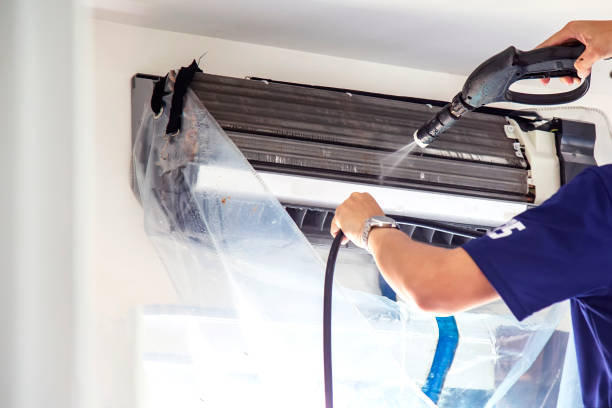Air Duct Mold Removal in Wenatchee, WA